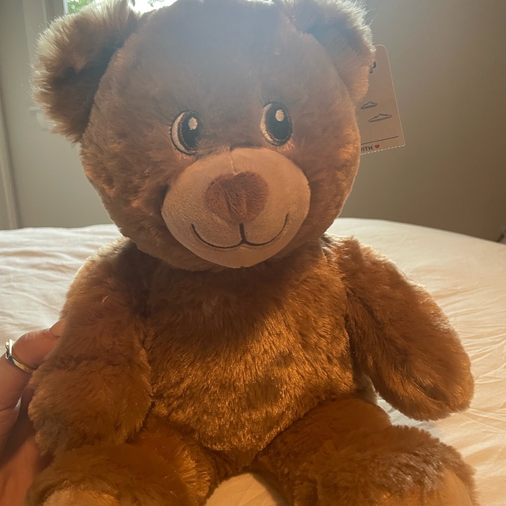 Build-a-bear teddy (with box)!